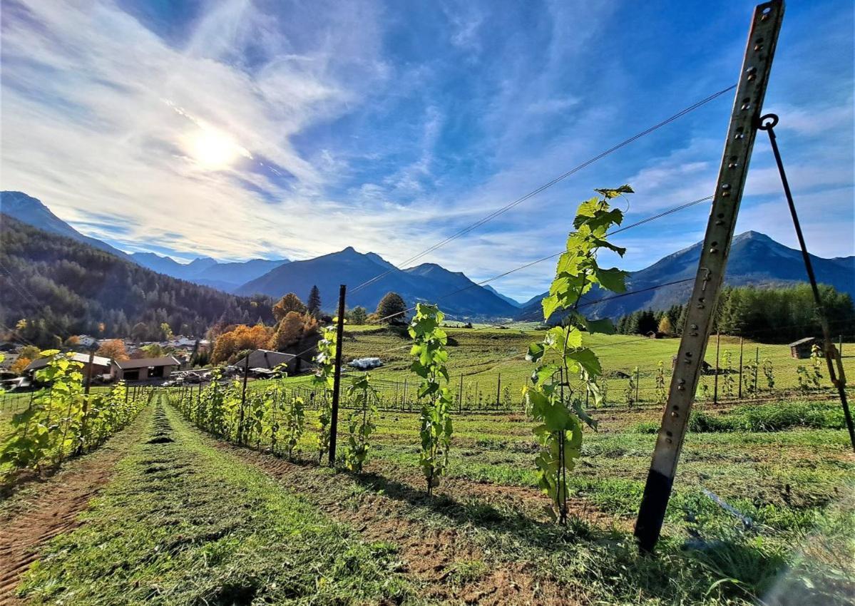 Der Trueferhof Apartment Ehrwald Bagian luar foto
